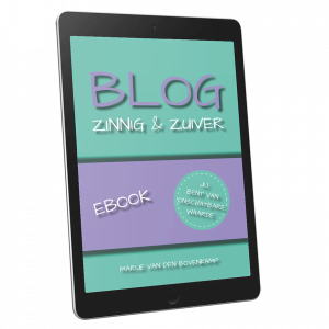 BLOG Zinnig & Zuiver - eBook (pdf)